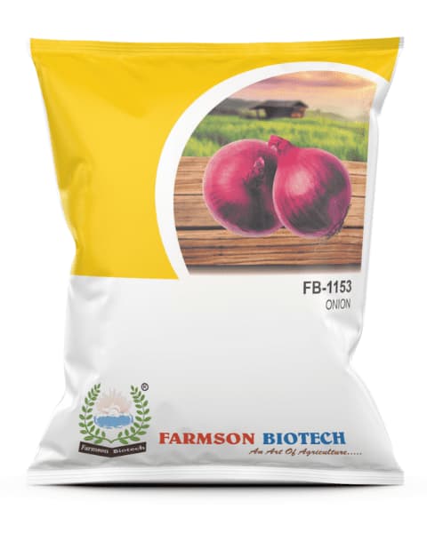 Farmson FB 1153 Onion Seeds, (Dark Red, N53) High Yielding, Tolerant to Pest & Disease - Image 1