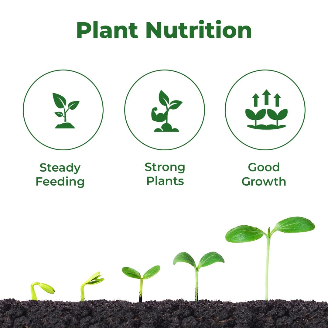 Nutrigold - Liquid Fertilizer, Bio-Active Microbial Fertilizer, For Increasing Ability Of Crops - Image 3