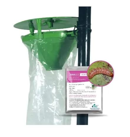 Gaiagen Pheromone Lure for Pink Bollworm (Pectinophora Gossypiella) And Insect Funnel Trap, IMO Certified. - Image 2