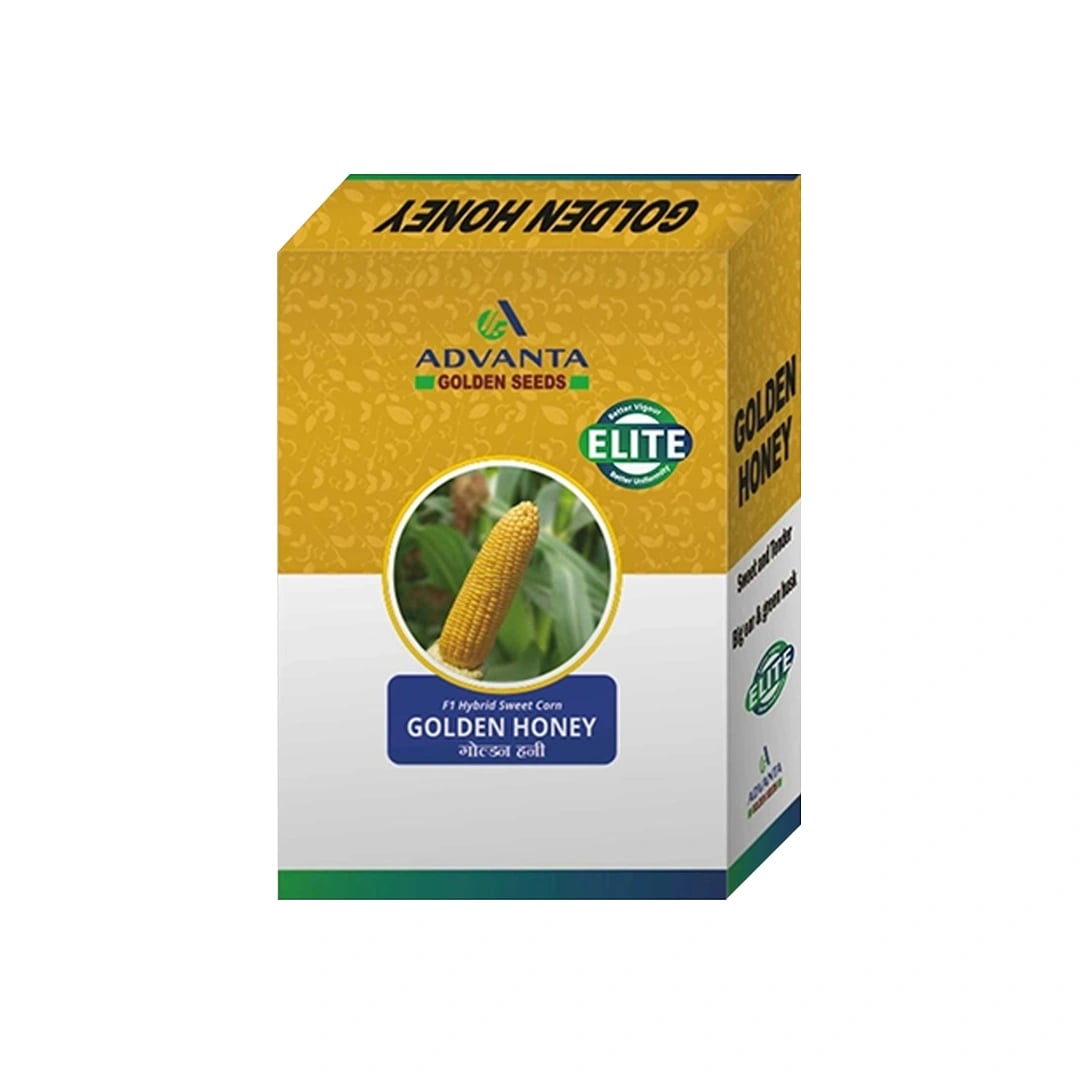 Advanta F1 Hybrid Golden Honey Sweet Corn Seed, Sugary-Enhanced Hybrid With Tender, Flavorful And Sweet Kernels