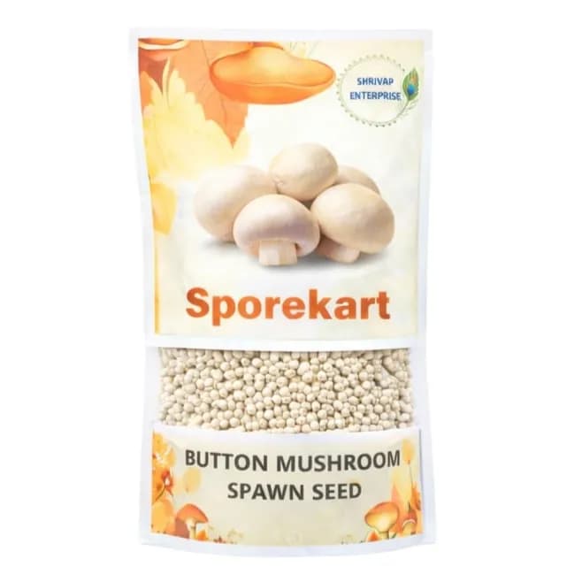 SporeKart Button Mushroom Spawn - Image 1