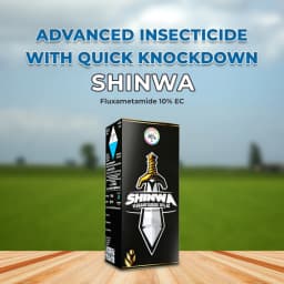 IIL Shinwa Fluxametamide 10% EC Insecticide, Control of Lepidopteran, Thrips, Leaf Minor, Other Sucking Pests 2