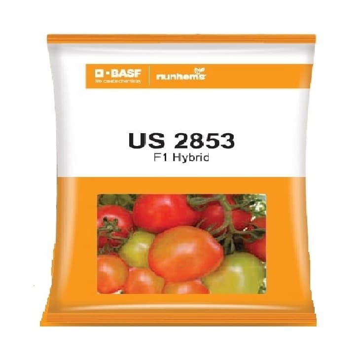 BASF Nunhems US 2853 F1 Hybrid Tomato Seeds, Flat Round Shape - Image 1