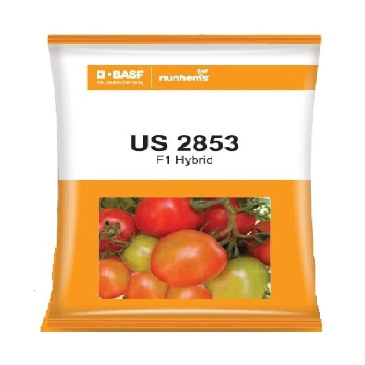 BASF Nunhems US 2853 F1 Hybrid Tomato Seeds, Flat Round Shape