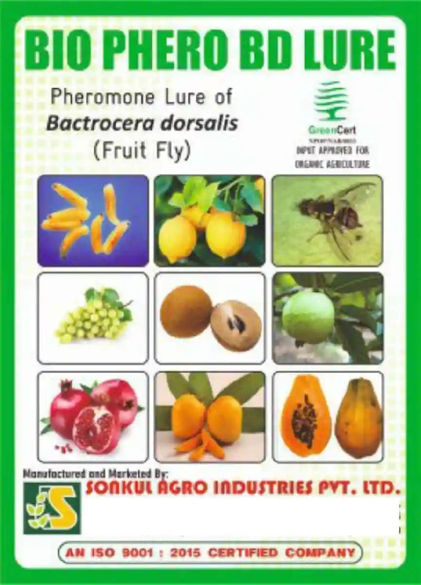 Sonkul Agro Industries Combo Pack of Oriental Fruit Fly (Bactrocera Dorsalis) Lure & Glass Trap