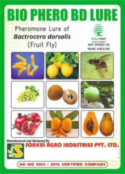 Sonkul Agro Industries Combo Pack of Oriental Fruit Fly (Bactrocera Dorsalis) Lure & Glass Trap 1