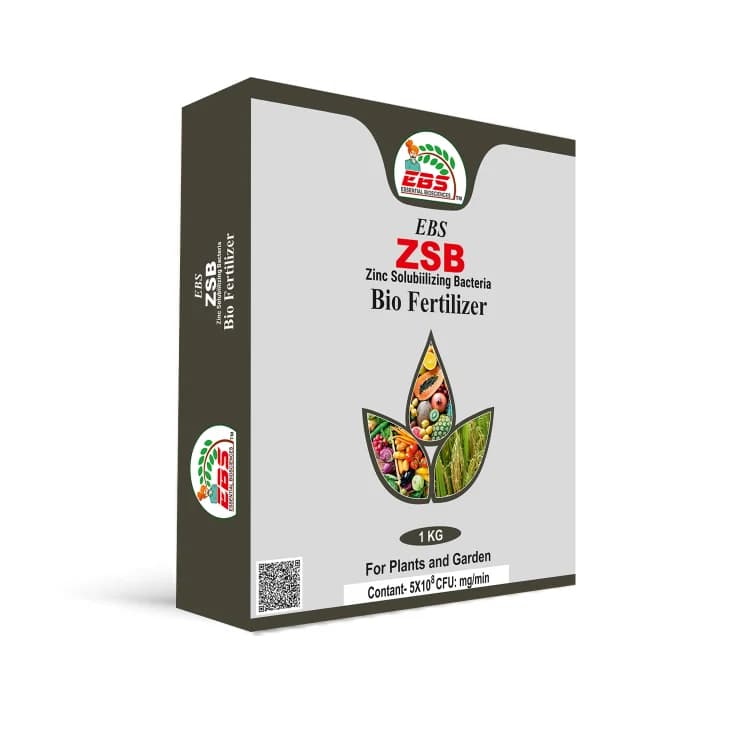 EBS Zinc Solubilizing Bacterial Bio Fertilizer 5x10^8 (ZSB), For All Plants And Home Garden, Ecofriendly - Image 1