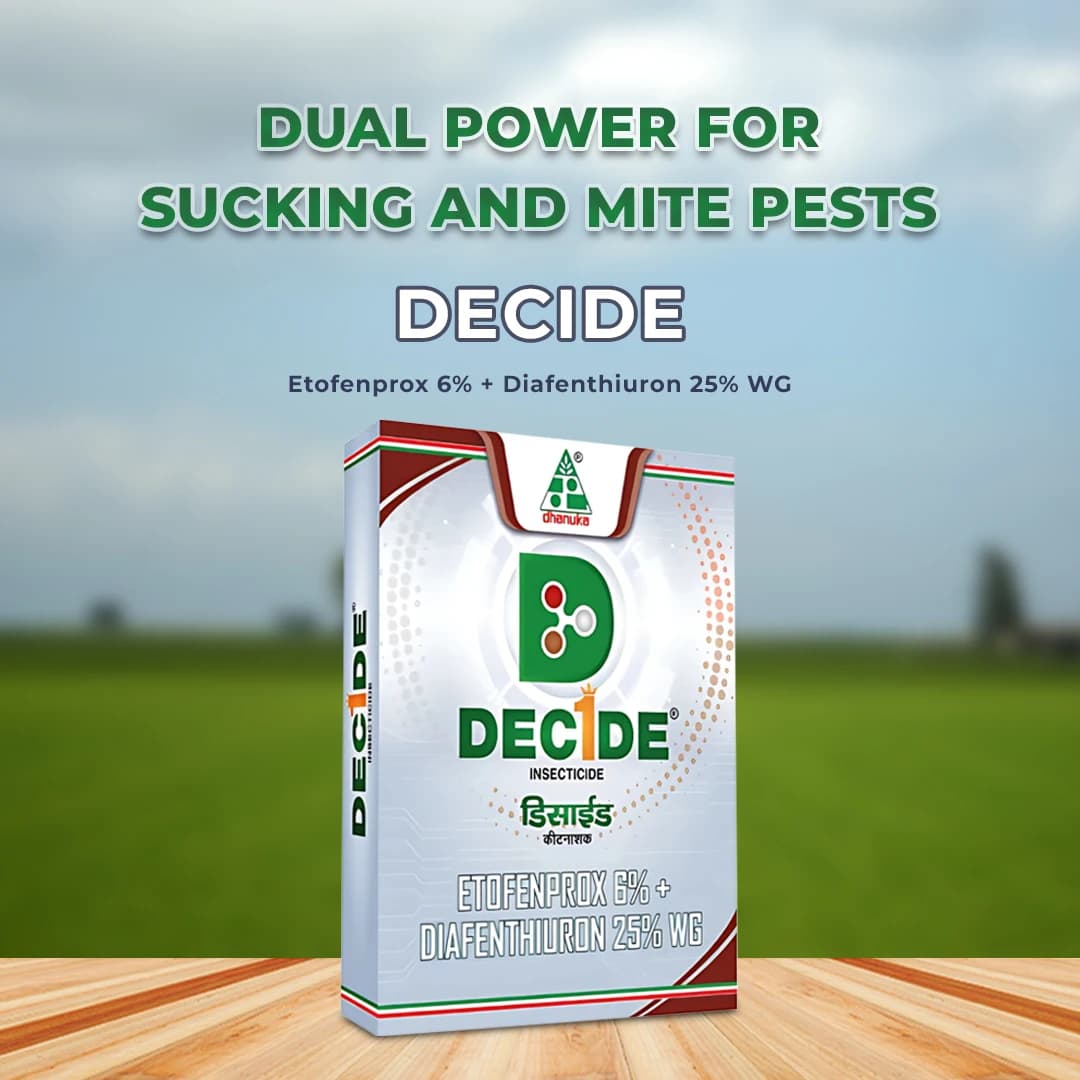 Dhanuka DECIDE Etofenprox 6% + Diafenthiuron 25% WG Insecticide, Broad Spectrum, Effective For Mites, Thrips, Whitefly And Sucking Pests - Image 2