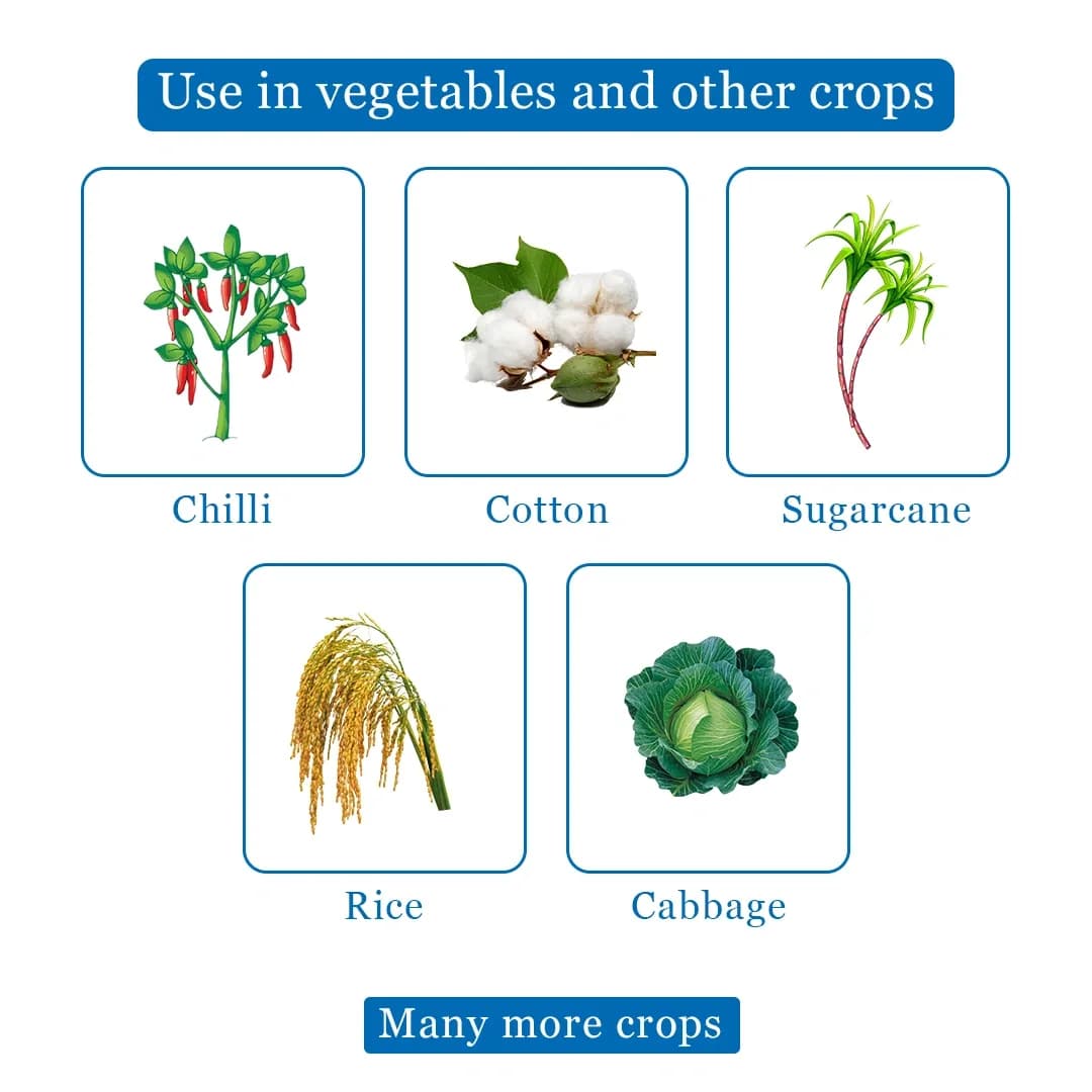 Bacf Fenel Insecticide - Image 4