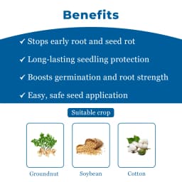 बायर एवरगोल एक्सटेंड - पेनफ्लुफेन 13.28% डब्ल्यूडब्ल्यू + ट्राइफ्लोक्सीस्ट्रोबिन 13.28% डब्ल्यूडब्ल्यू एफएस, यह सक्रिय जड़ विकास संवर्धन प्रदान करता ह 4