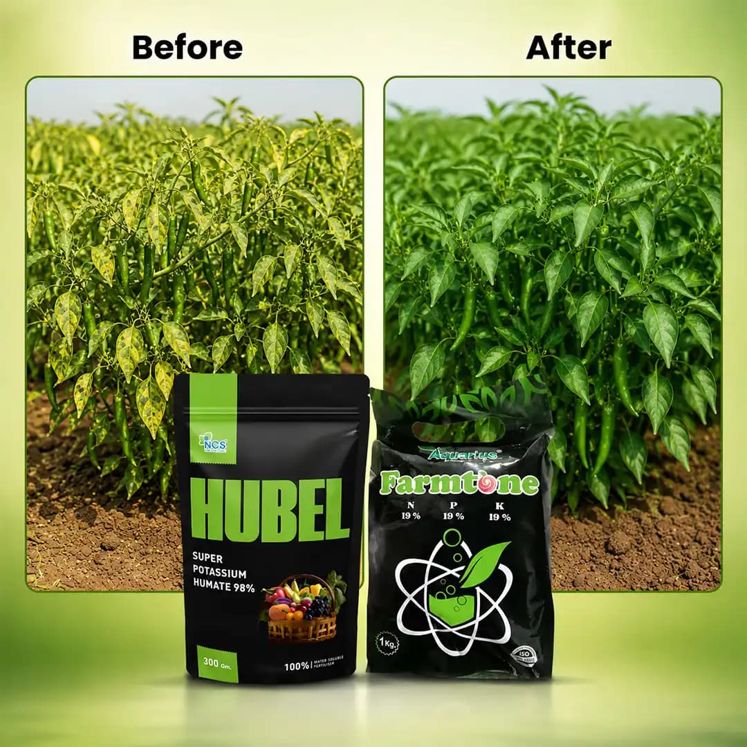 Growth and Development Combo (Farmtone NPK 19:19:19 3 Kg + HUBEL Humic Acid 98% 1.2 Kg) - Image 6