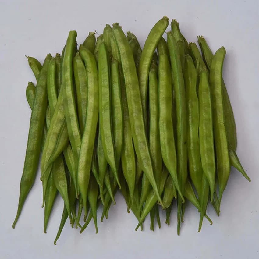 VNR MANSI Hybrid Cluster Bean Seeds, Open Pollinated, Early Maturity - Image 2