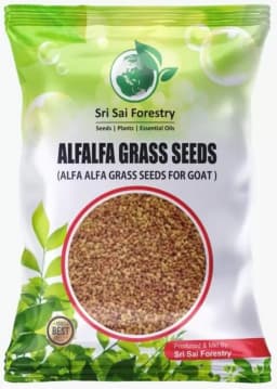 SRI SAI FORESTRY - Alfa Alfa Grass Seeds - Lucerne (Fodder, Soil Erosion Control) 1