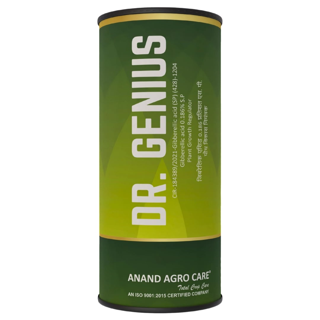 Dr. Genius Gibberellic Acid 0.186% S.P, Increase Photosynthesis and Plant Metabolism In Crops