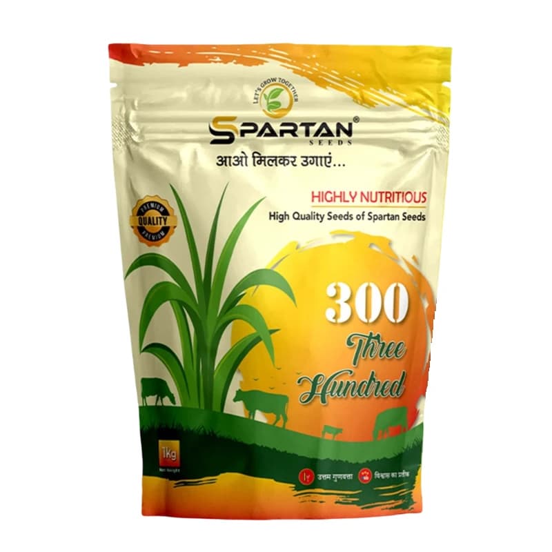 Spartan 300 F1 Hybrid Sorghum Seeds, Jowar Seeds, High Purity, Ideal For Kharif, Rabi, and Summer Season - Image 1