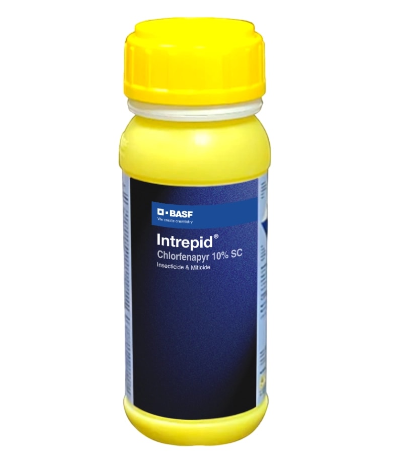 BASF Intrepid Chlorfenapyr 10% Sc Insecticides, Best For All Vegetable