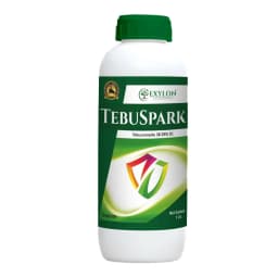 Exylon Tebuspark Tebuconazole 38.39% SC Fungicide, Systemic Control For Fungal Diseases 1
