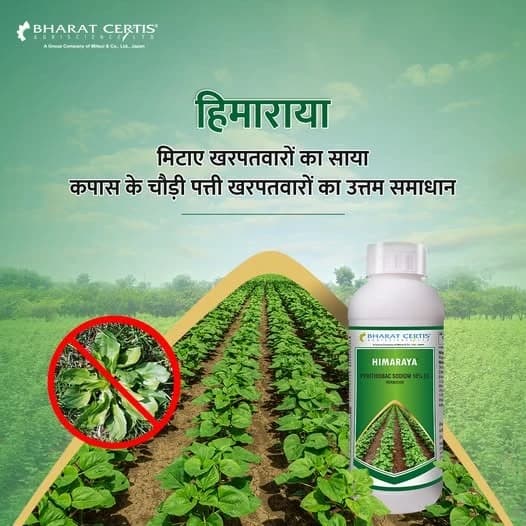 Bharat Certis Himaraya Pyrithiobac Sodium 10% EC Herbicide, Early Post-Emergence And Effective Weed Control In Cotton - Image 2
