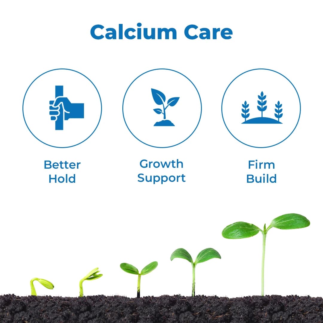 इंस्टा प्रोचियल चीलेटेड कैल्शियम 10%, कैल्शियम 10% शामिल है, सभी फसलों और सब्जियों के लिए सर्वोत्तम। - Image 3
