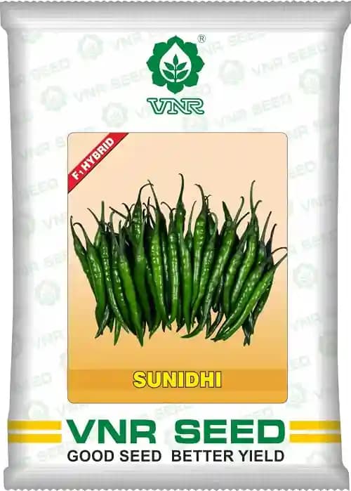 VNR Sunidhi Chilli Seeds - Image 1