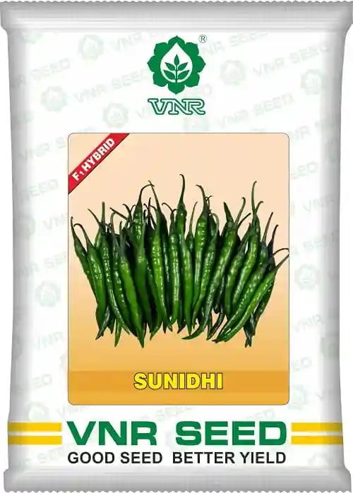 VNR Sunidhi Chilli Seeds