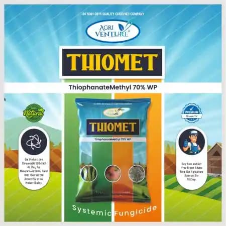 Agriventure Thiomet Thiophanate Methyl 70% WP Fungicide, Broad Spectrum Preventive Curative And Systemic Fungicide With Systemic Action - Image 2