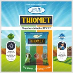 Agriventure Thiomet Thiophanate Methyl 70% WP Fungicide, Broad Spectrum Preventive Curative And Systemic Fungicide With Systemic Action 2