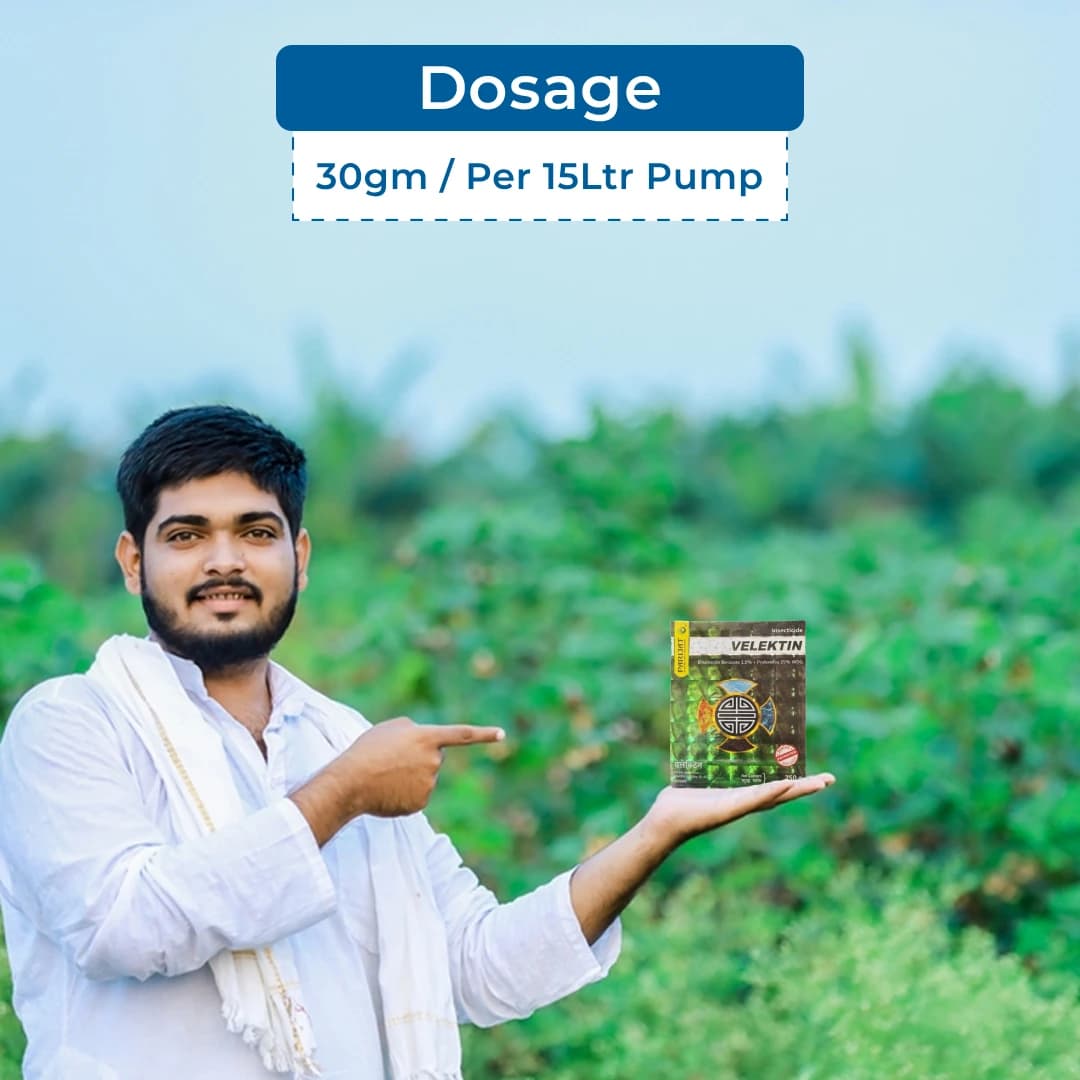 Parijat Velektin Emamectin Benzoate 1.5% + Profenofos 35% WDG, An Insecticide For Cotton, Maize & Chilly Crops. - Image 5