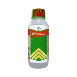 Bayer Whip Super - Fenoxaprop-p-ethyl 9.3% EC , It is a Post-Emergent Herbicides 1