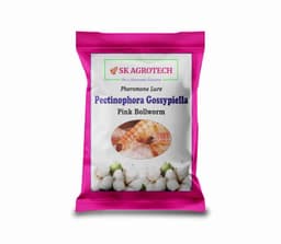 SK Agrotech Pectinophora Gossypiella Pheromone Trap With Lure - Effective Solution For Cotton 10