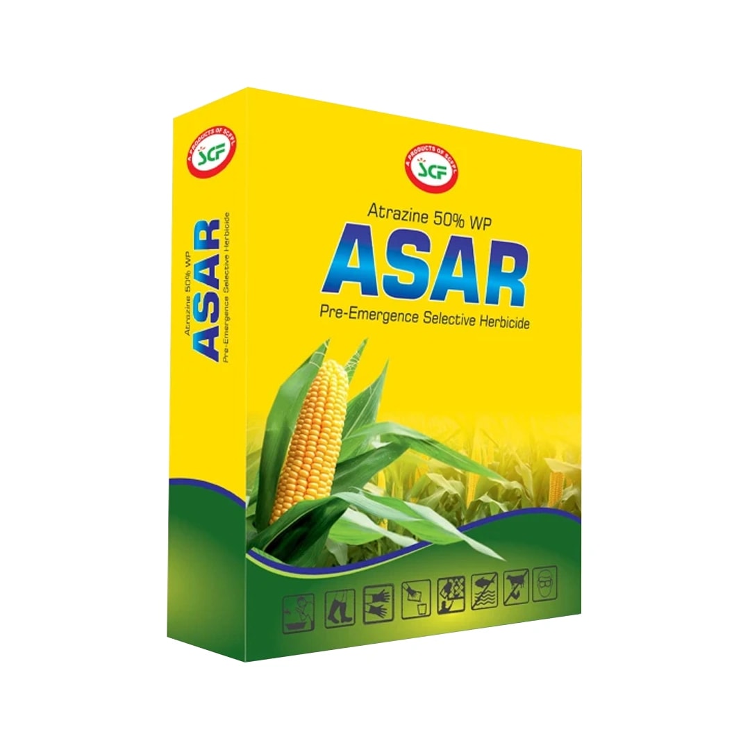 EBS ASAR Atrazine 50% WP Herbicide, Selective Systemic Pre and Post-Emergence Herbicide, Use for Maize and Sugarcane