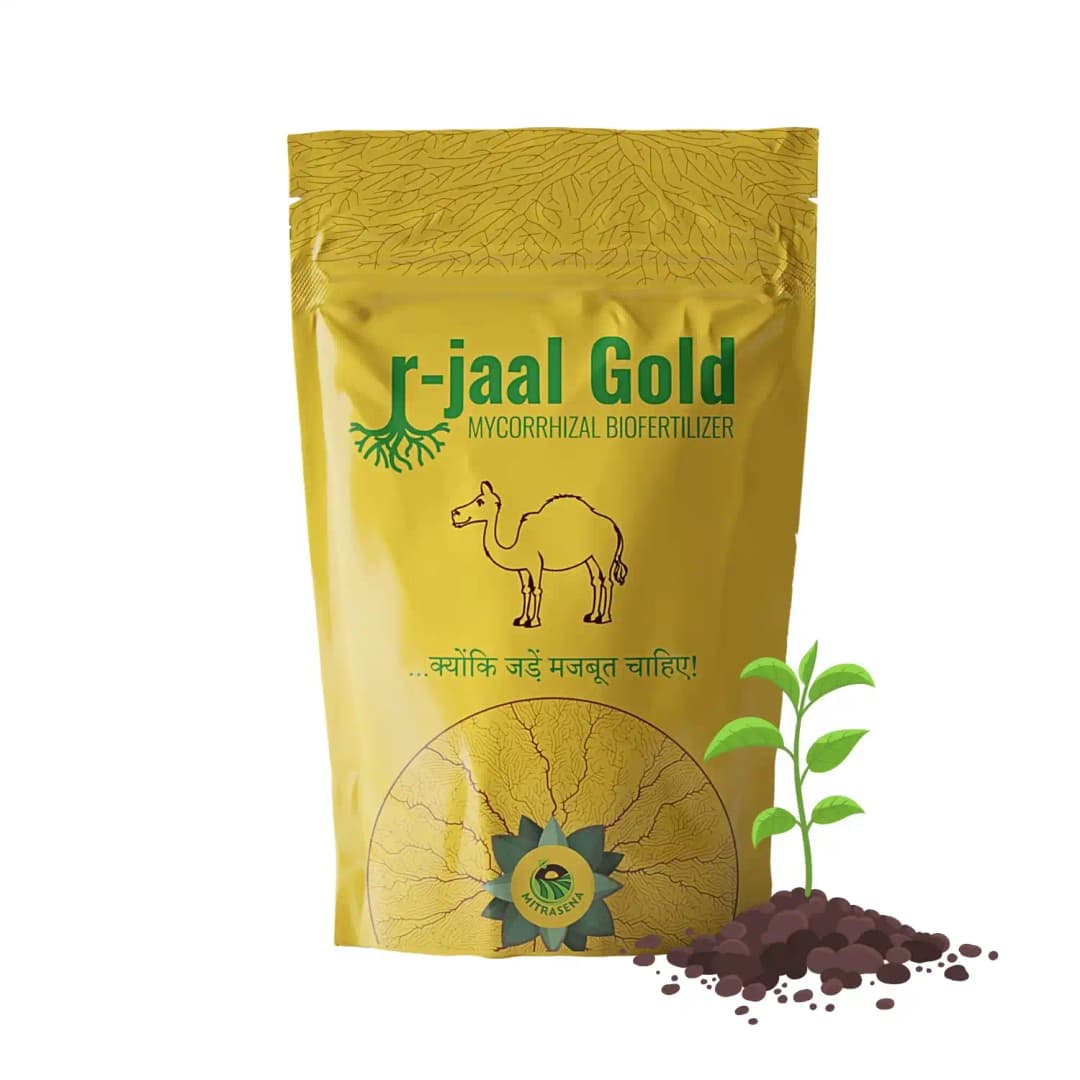 Biowall r-Jaal Gold VAM (Vesicular Arbuscular Mycorrhiza) Root Development and Nutrient