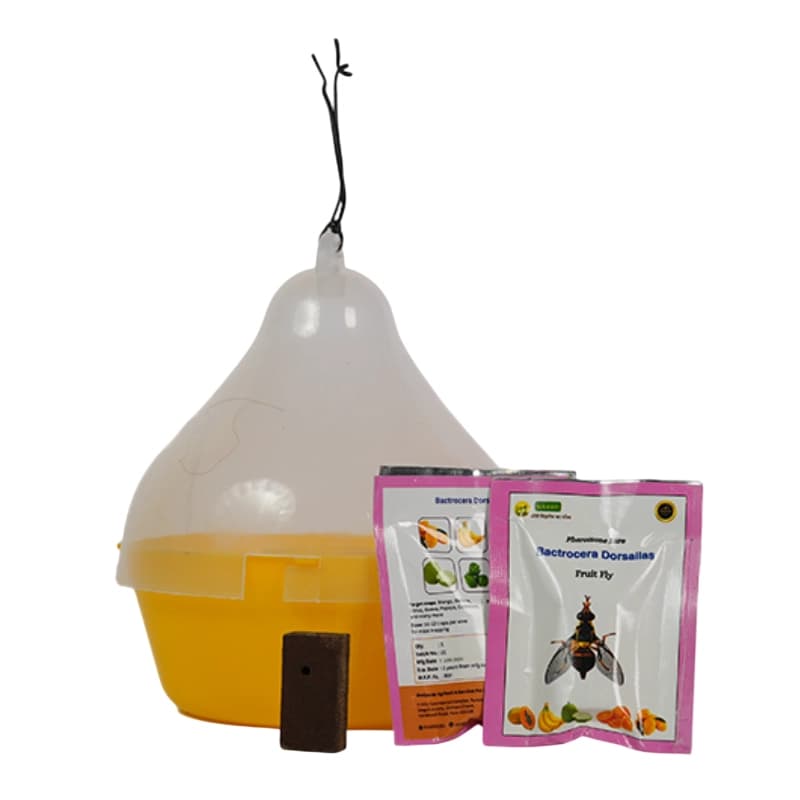 WAVAR Bactrocera Dorsalis Macphil Trap, Easy To Install, Effective Fruit Fly Control