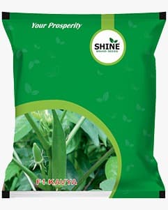 Shine Kavya Bhindi Seeds - Okra Seeds - Image 1