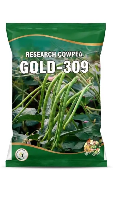 Green Gold Cowpea Seeds Gold-309 Dual Purpose Variety