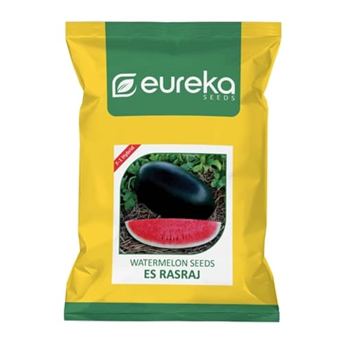 Eureka ES RASRAJ F1 Hybrid Watermelon Seeds, Vigorous Plants, High Yield Variety - Image 1