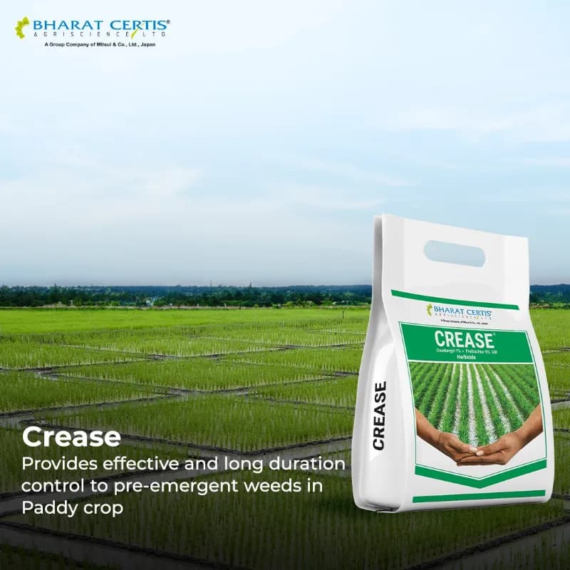 Bharat Certis CREASE Pretilachlor 6% + Oxadiargyl 1% GR Herbicide, Broad Spectrum, Effective Control In Narrow And Broadleaf Weeds And Healthy Crop - Image 2