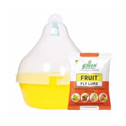 Maxplus Trap with Fruit Fly Lure (Bactrocera Correcta, Zonata, Dorsalisa Pheromone Lure) For Mango, Guava, Sapota, Citrus, Banana, and Papaya 1