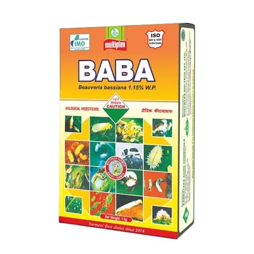 Multiplex Baba Beauveria Bassiana 1.15% WP, Control Insects in Organic Farming.