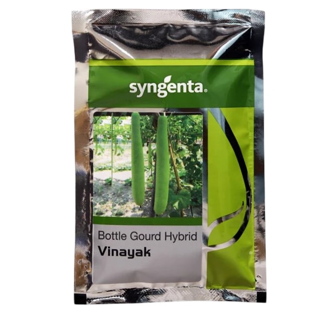 Syngenta Vinayak F1 Hybrid Bottle Gourd Seeds, Kharif & Rabi Seasons Variety