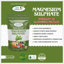 Agriventure Magnesium Sulphate 9.5%, Imported 100% Water Soluble Fertilizer, Increases Greenness and Ultimately Results in Yield and Crop Quality 2