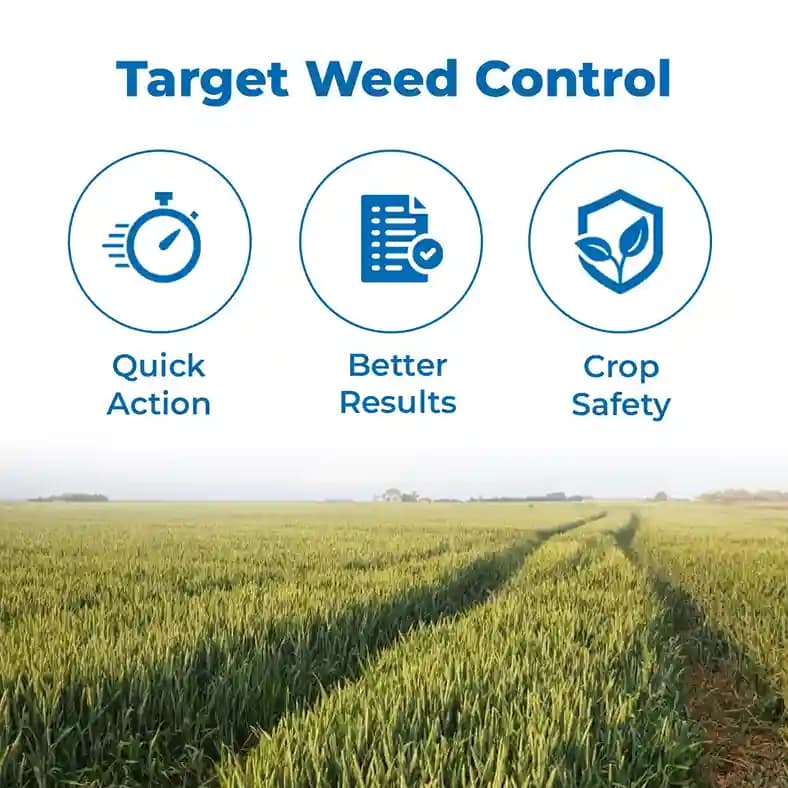 Atom Clodinafop Propargyl 15% Wp, Selective Post Emergence Broad Spectrum Herbicide - Image 3