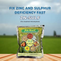 Aries Zn Sulf, Zinc 33% and Sulphur 15% Zinc Sulphate Monohydrate, Improves Flower and Fruit Setting 2