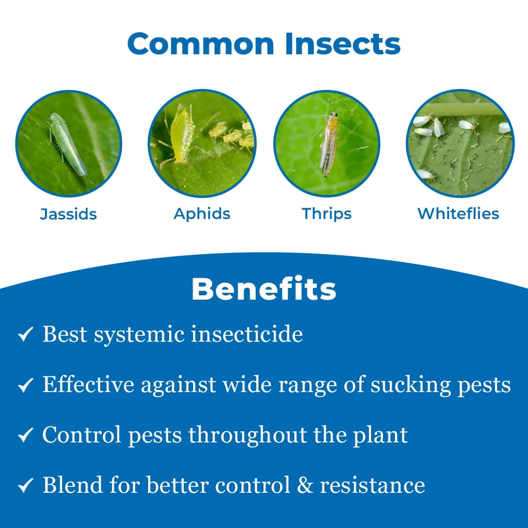 Thorlet - Thiamethoxam 12.6% + Lambda Cyhalothrin 9.5% Zc, Best Systemic Insecticide for Effective Control Against Sucking Pests - Image 3