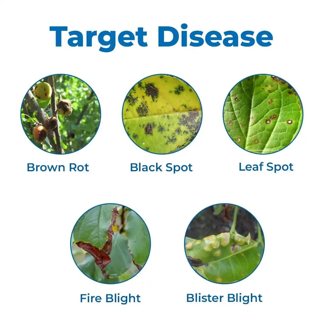JU Strepto Plus Broad Spectrum bactericide for Plant Disease Control - Image 3