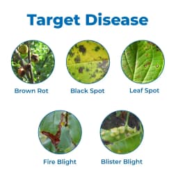 JU Strepto Plus Broad Spectrum bactericide for Plant Disease Control 3