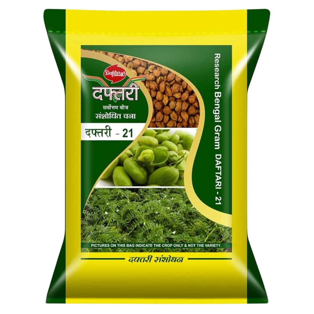 Daftari 21 Research Bengal Gram Seeds, High Yield, Disease Resistant, Medium Growth Variety