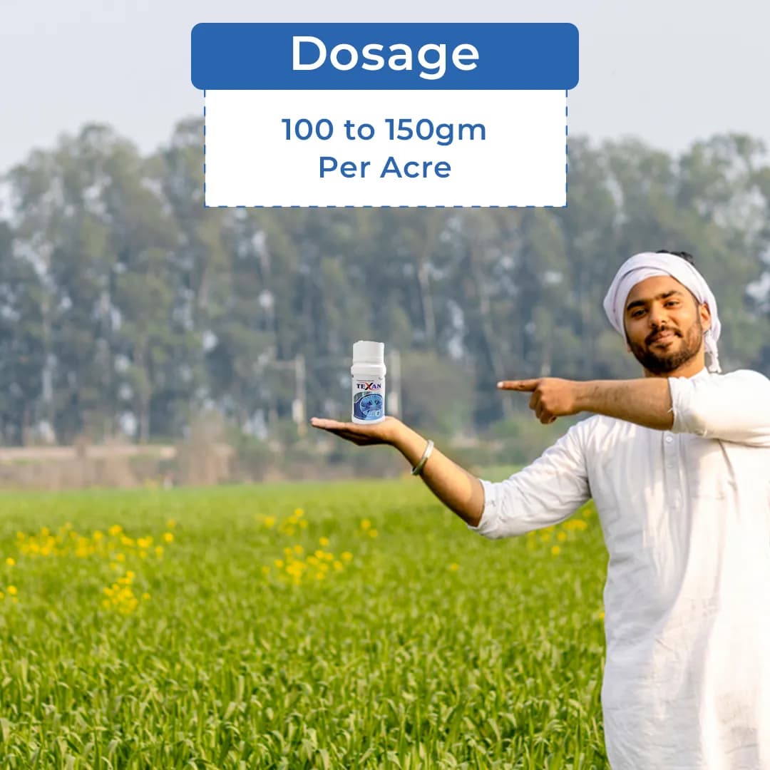 Texan Insecticide - Thiamethoxam 25% WG - Image 5