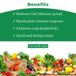 V Bind Viral Disease Special, Cure against Viral diseases, Treating Leaf Mosaic, Bunchy Top, Leaf Curl, and Other Viral Diseases. 4