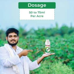 Bomba Super Insecticide - Imidacloprid 30.5% SC 5